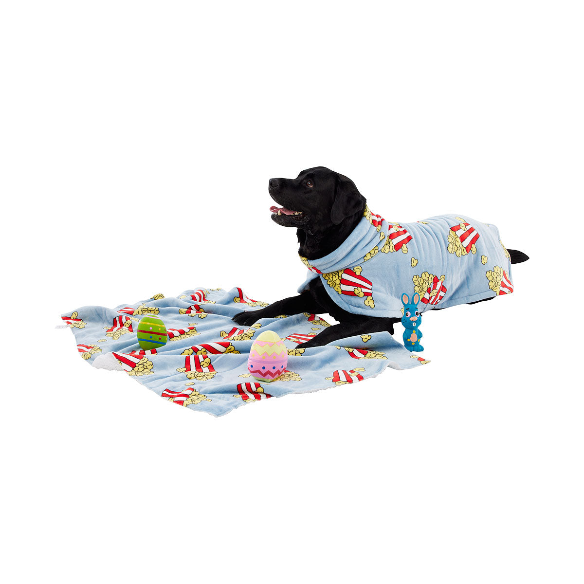 Pet Blanket Assorted 120x80cm