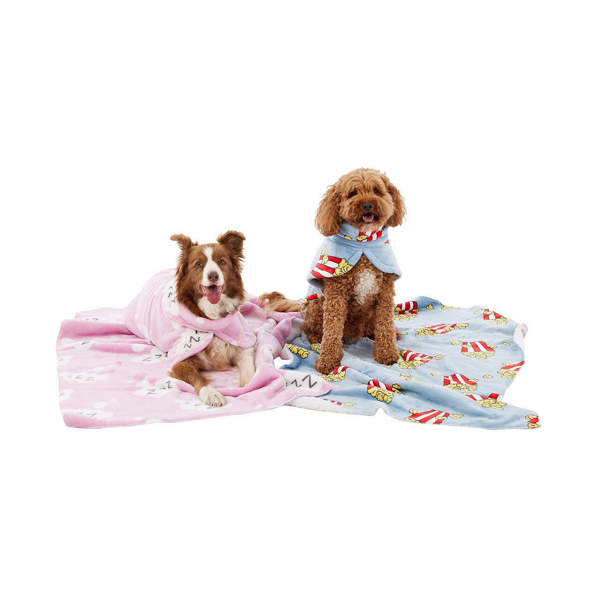 Pet Blanket Assorted 120x80cm