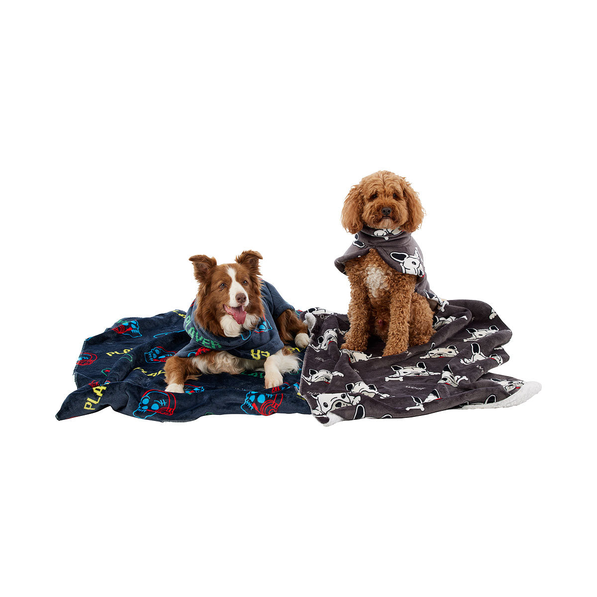 Pet Blanket Assorted 120x80cm