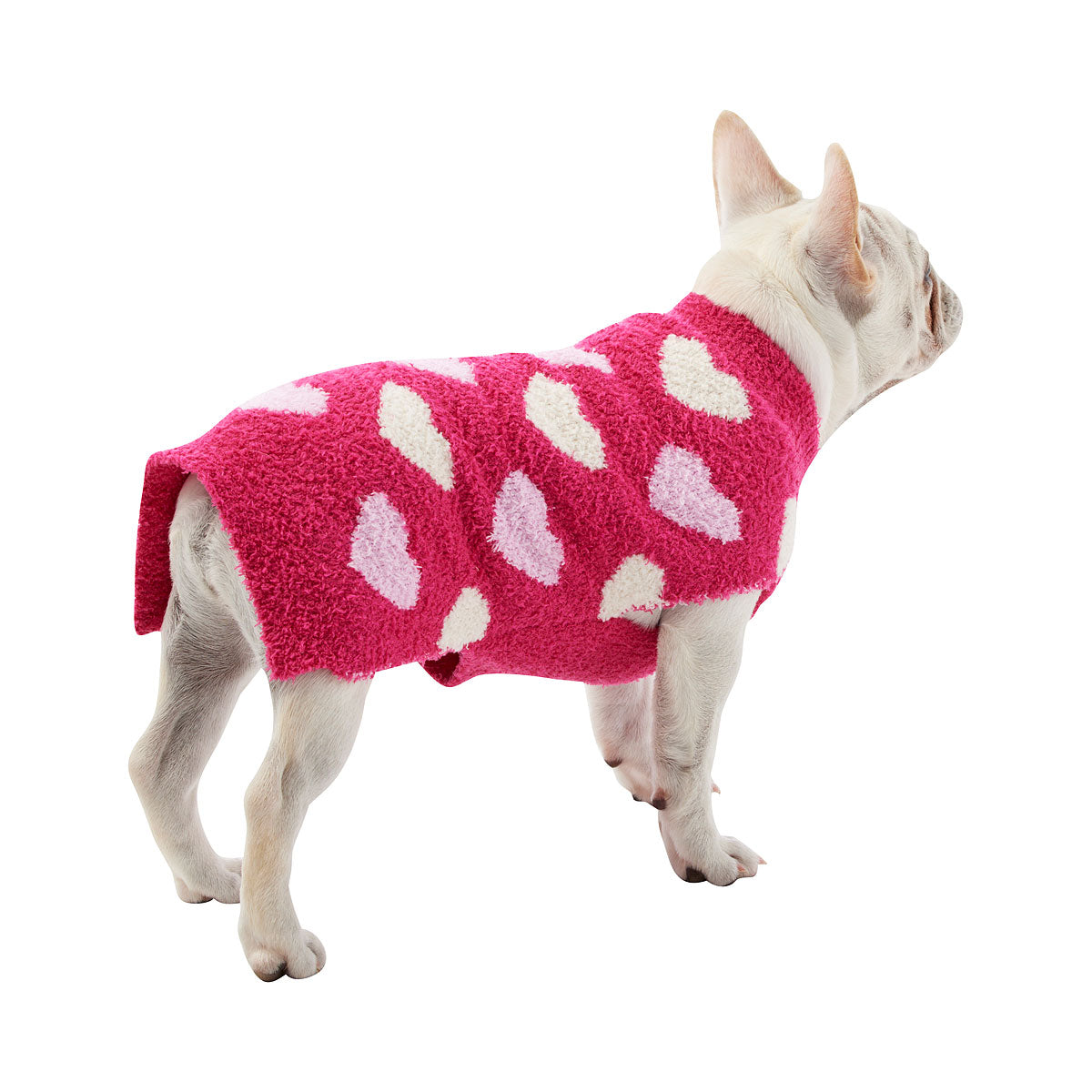 Pet Jumper Assorted Small