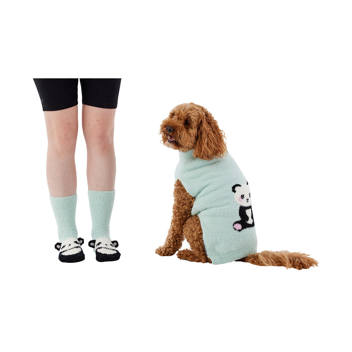 Pet Jumper Assorted Medium