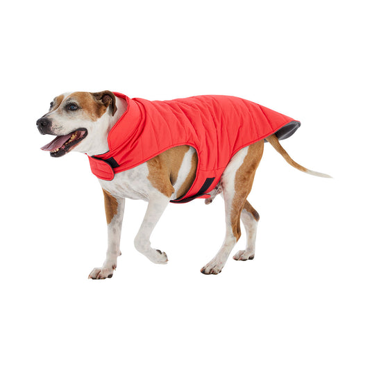 Dog Coat Danny Medium