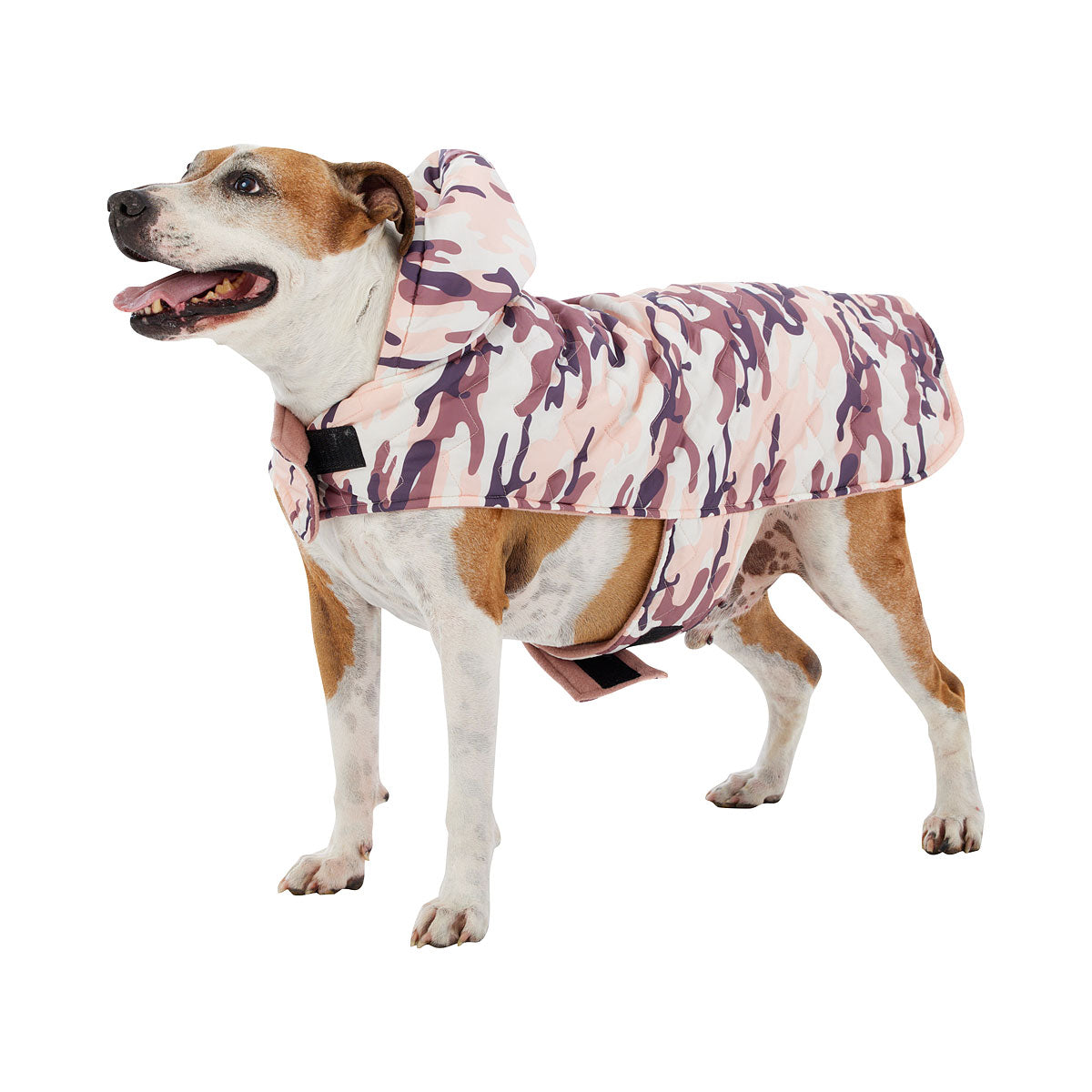 Dog Coat Danny Medium