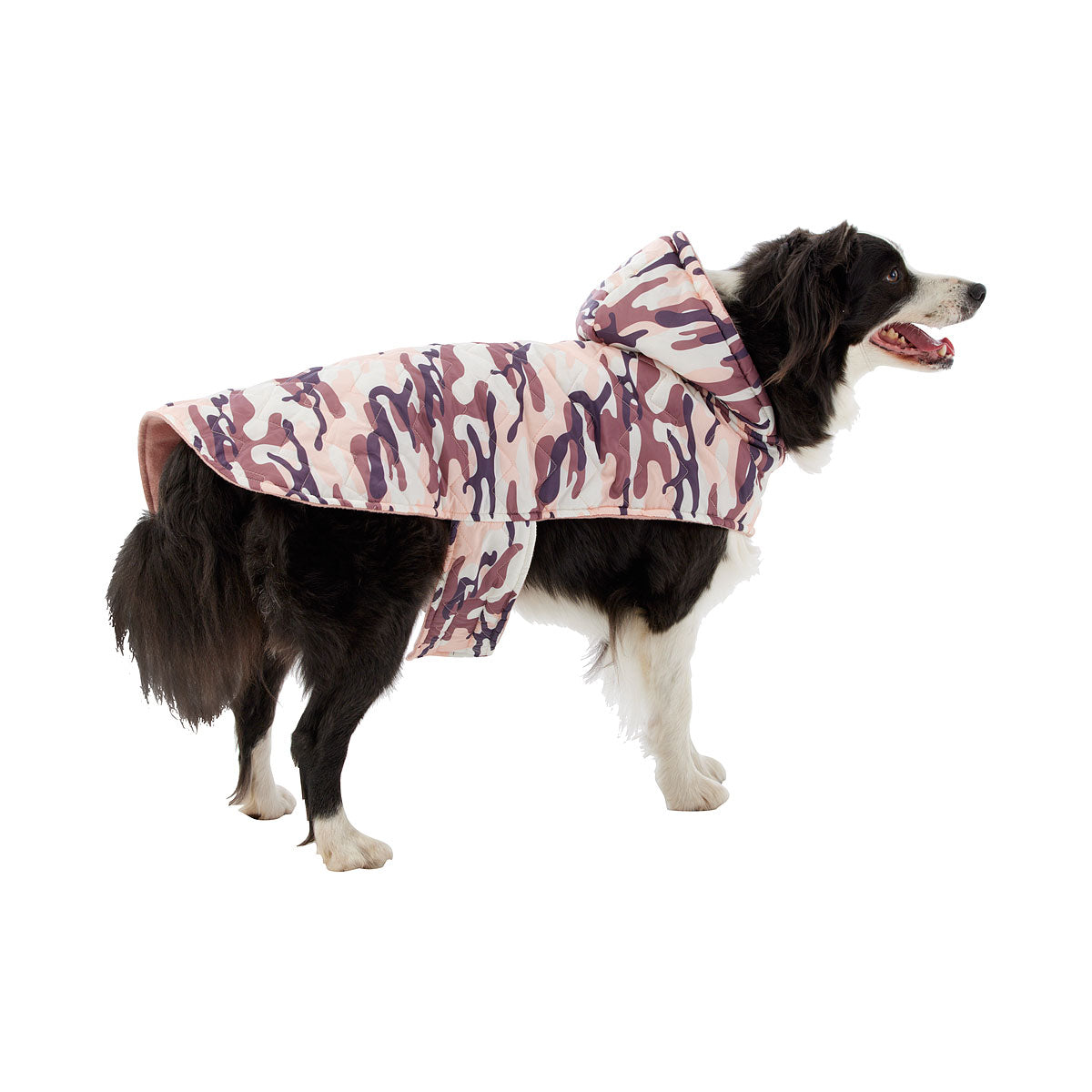 Dog Coat Danny Medium The Reject Shop