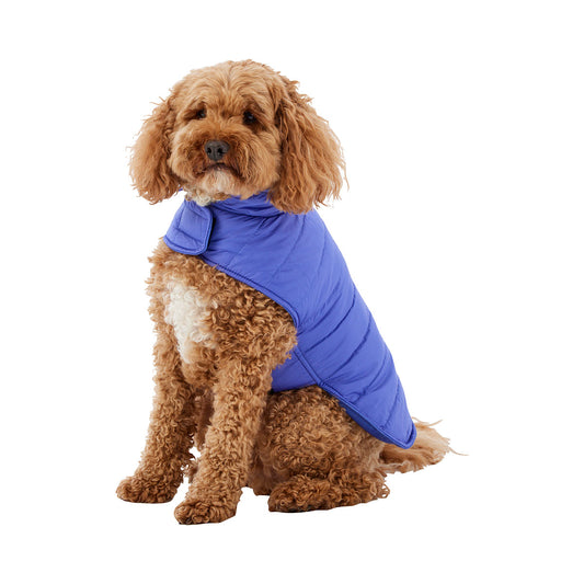 Dog Coat Cooper Assorted 30-40cm