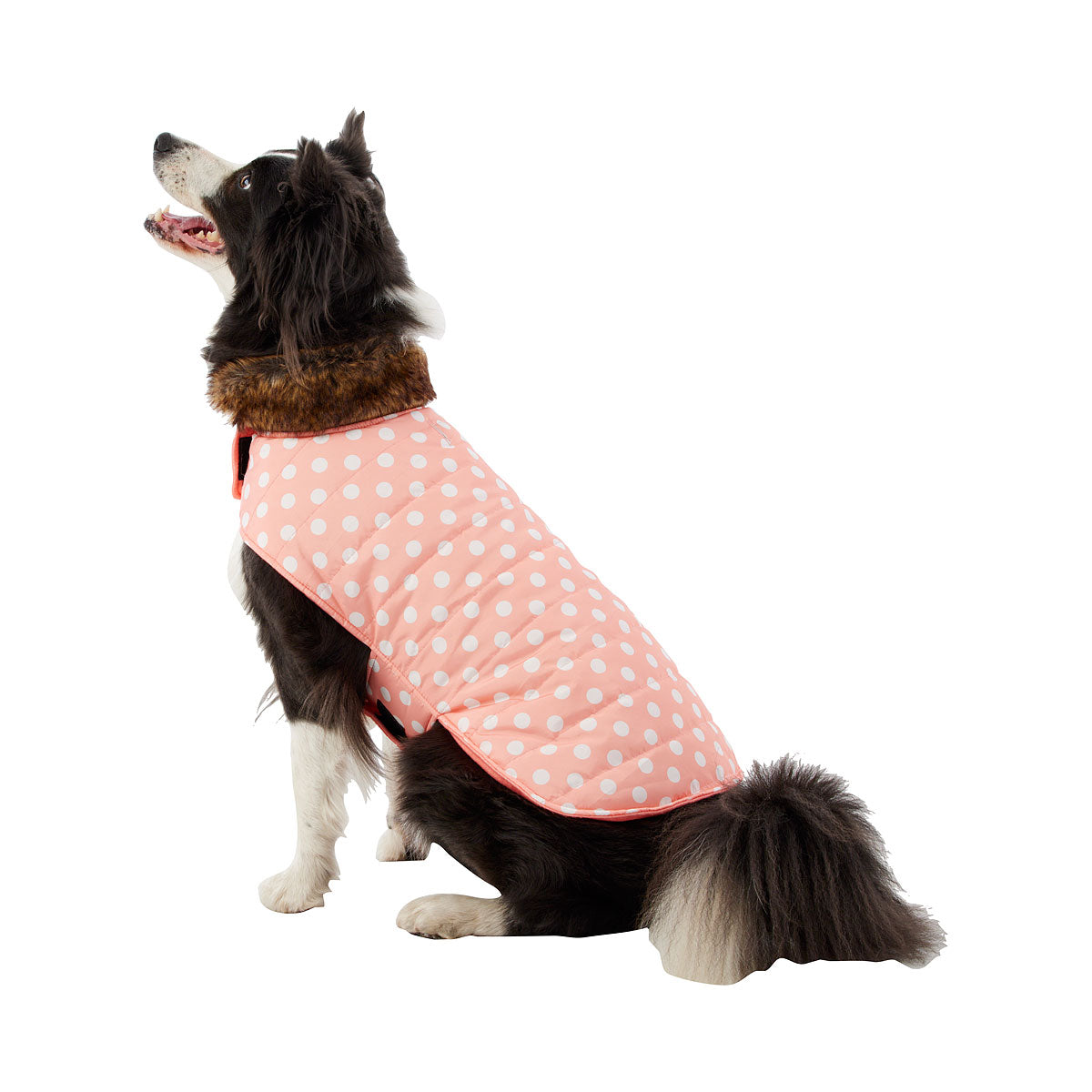 Dog Coat Maggie Medium