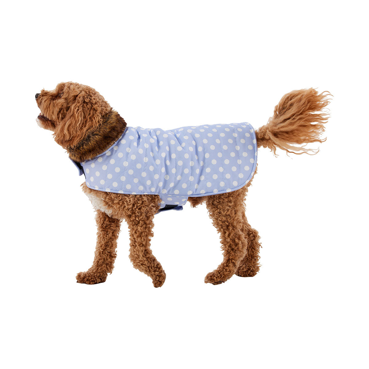 Dog Coat Maggie Medium