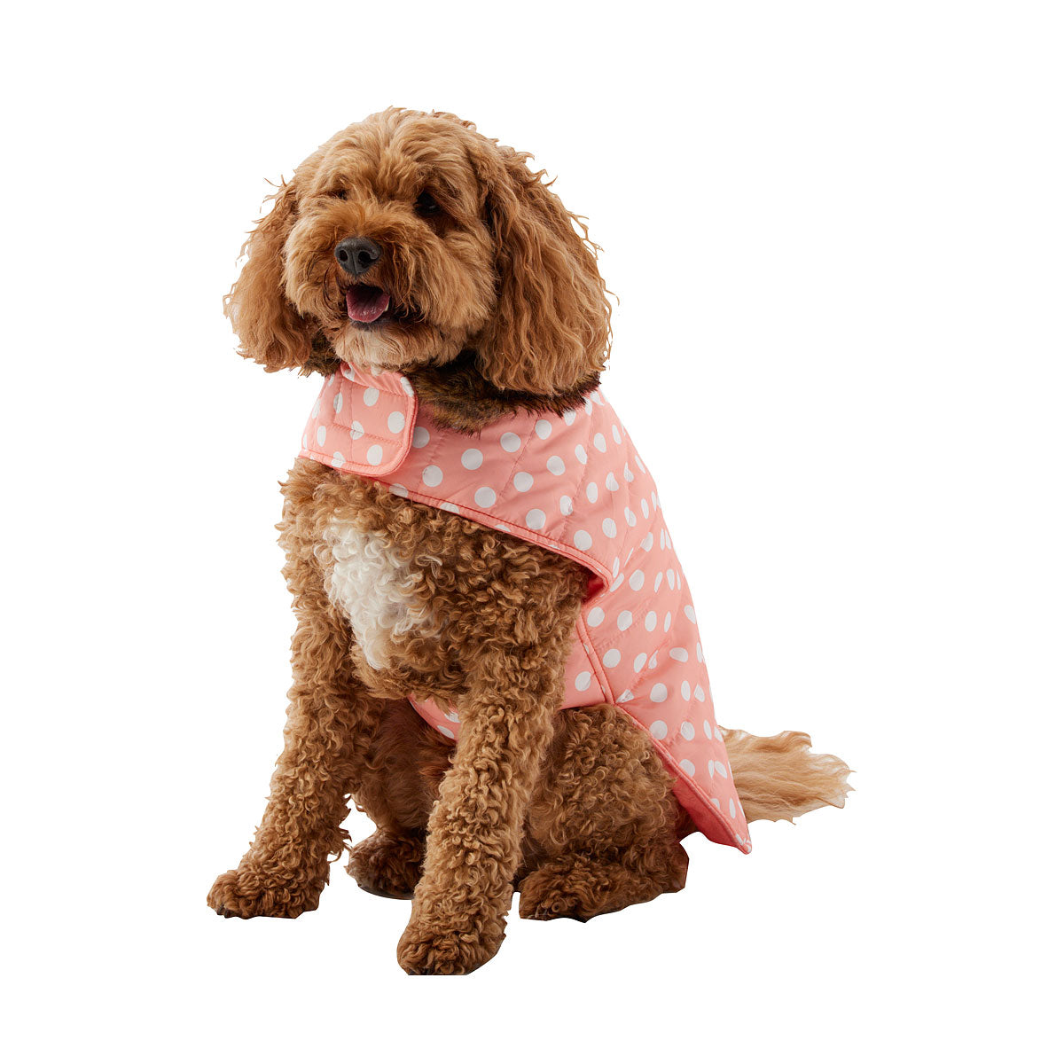 Dog Coat Maggie Medium