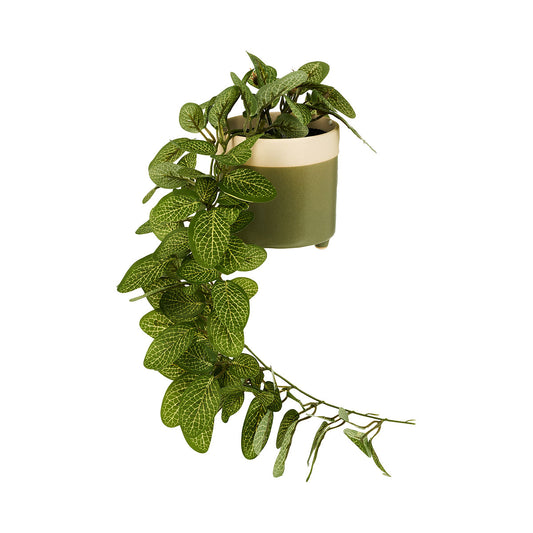 Hanging Faux Fittonia Greenery In Green/Peach Pot