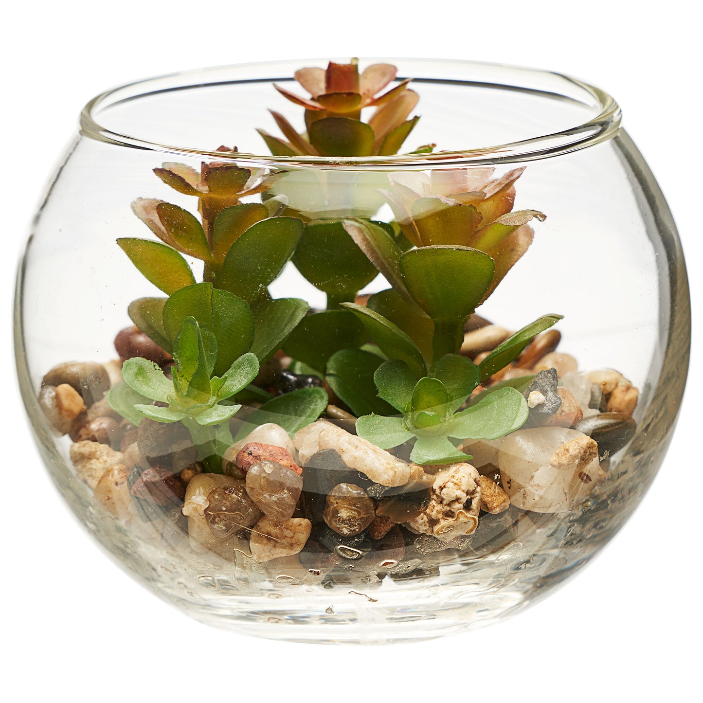 Mini Succulent Glass Bowl Assorted