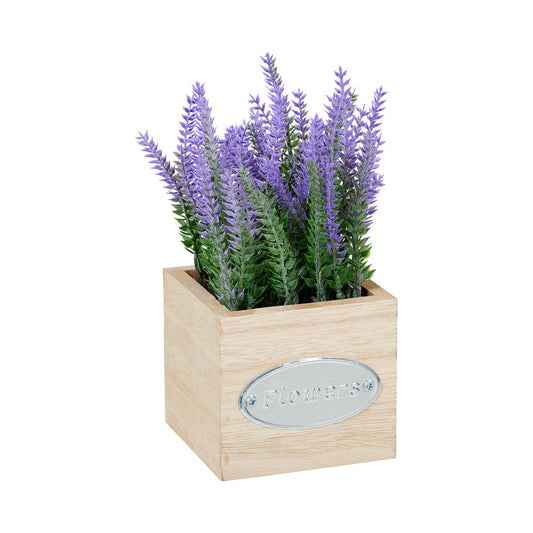 Lavender Pink In Wooden Box