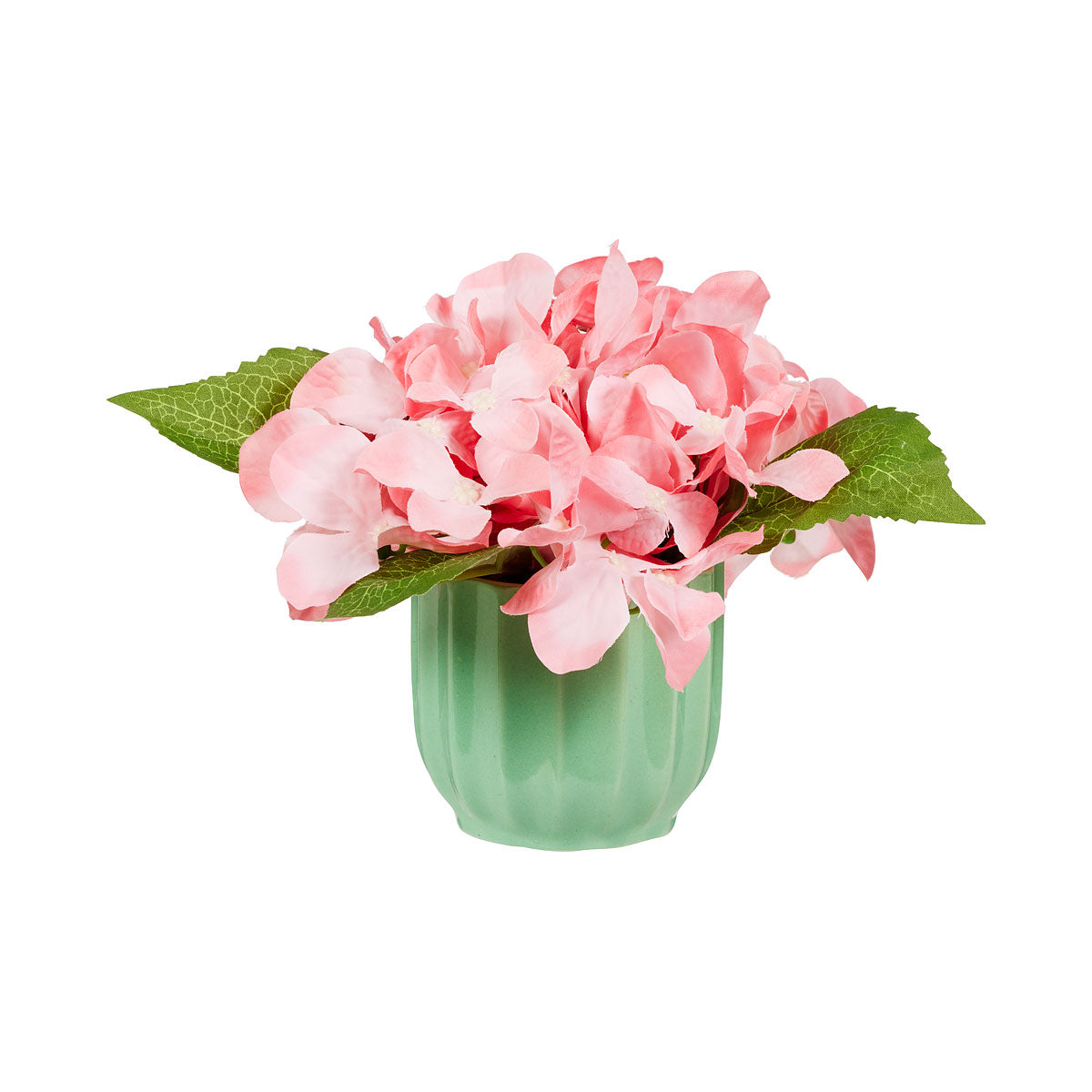 Hydrangea In Ceramic Pot Purple/Peach