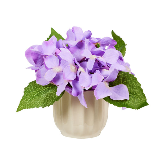 Hydrangea In Ceramic Pot Purple/Peach