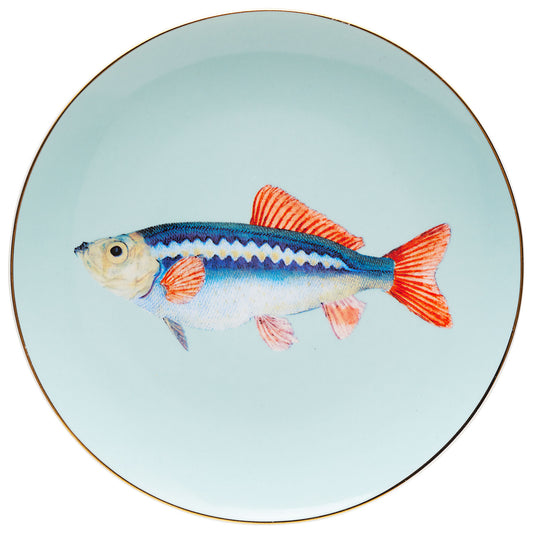 Golden Fish Plate 19cm Assorted