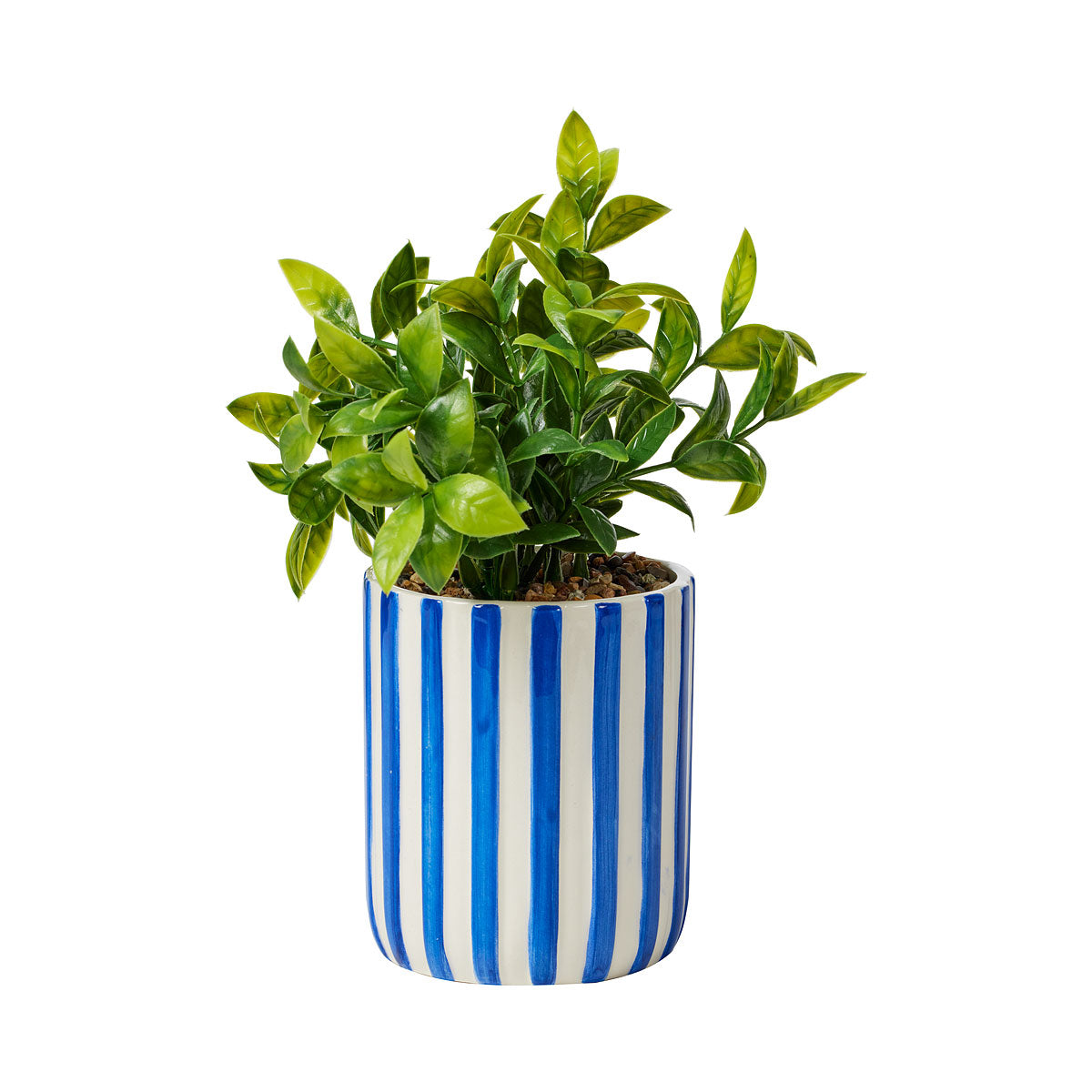 Faux Olive Leaf Plant in Striped Po Grey/Blue