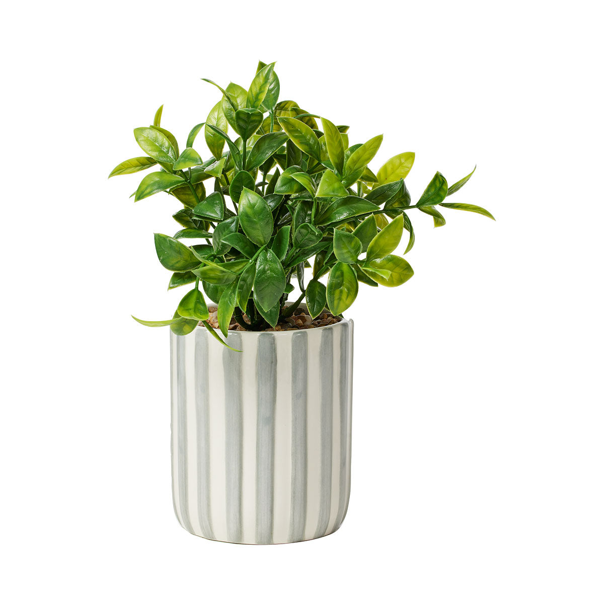 Faux Olive Leaf Plant in Striped Po Grey/Blue