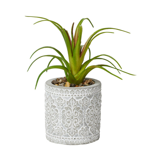 Faux Succulents in Patterned Cement Pot Assorted