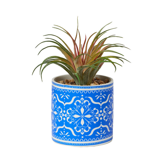 Faux Succulents in Geo Print Pot Assorted