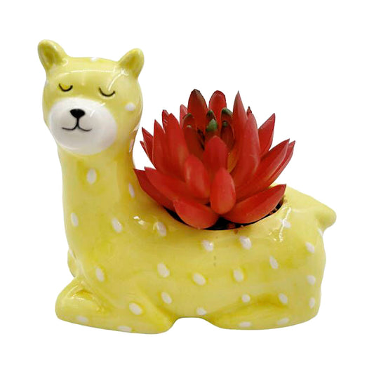 Llama Novelty Faux Succulent