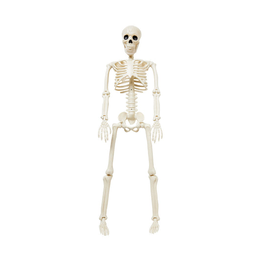 Halloween Skeleton 90cm Assorted