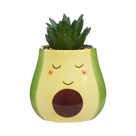 Novelty Avocado Faux Succulent