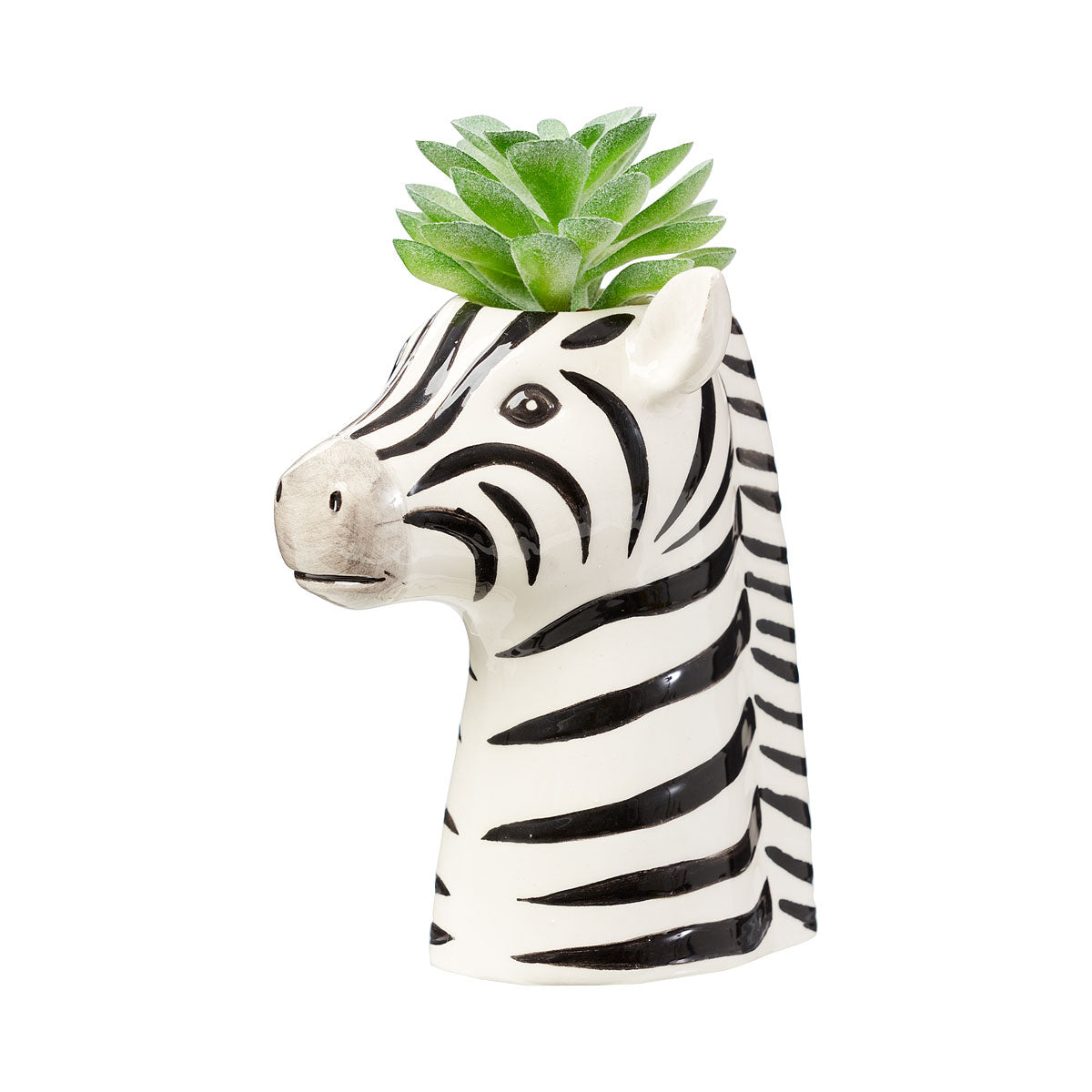 Novelty Zebra Head Faux Succulent