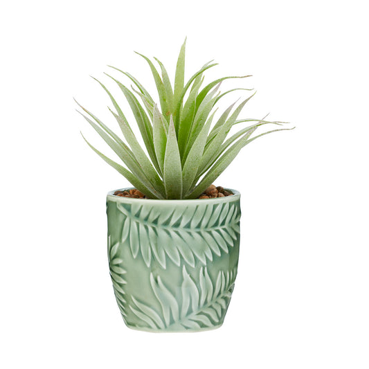 Faux Spiky Succulent In Palm Pot Green/Black