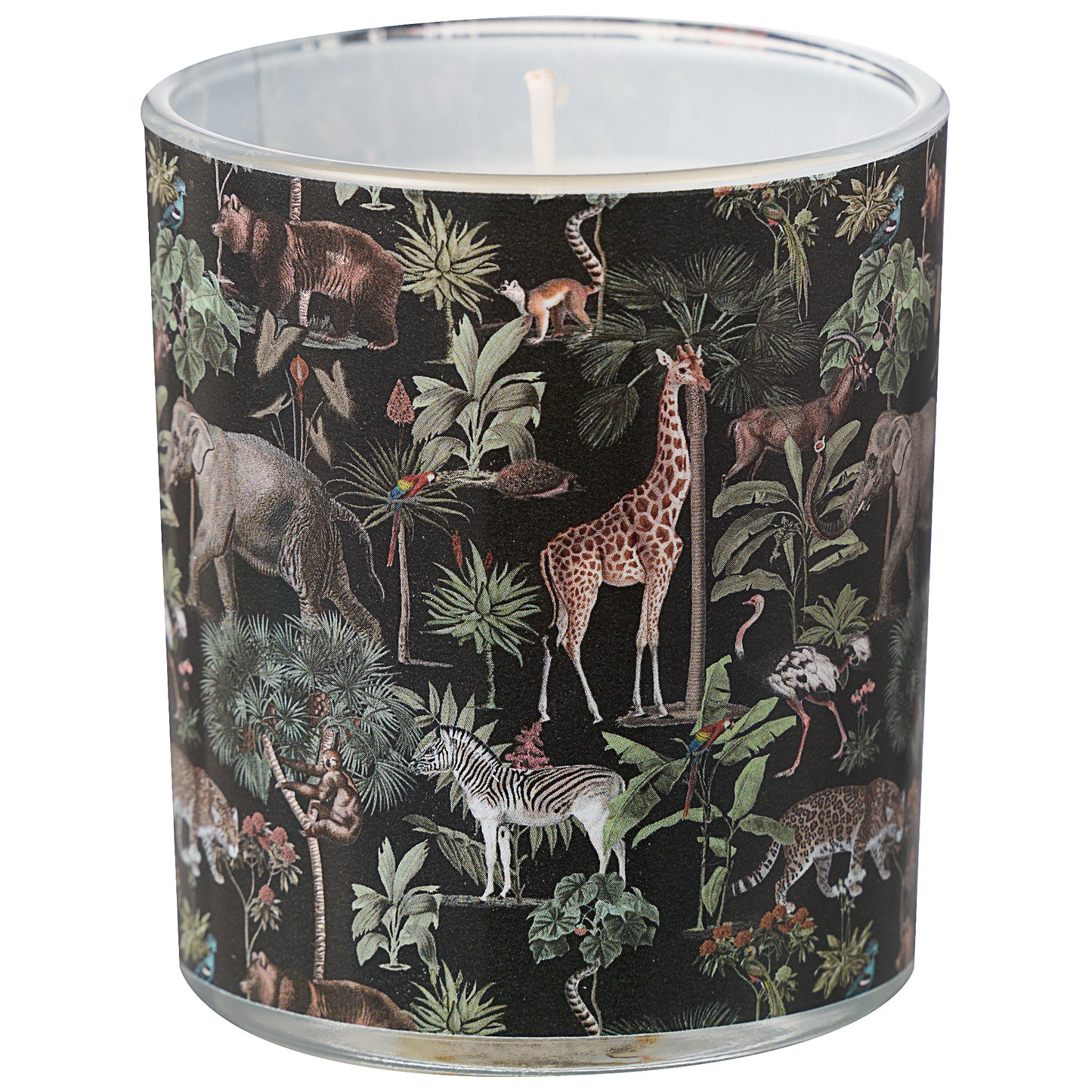 Jungle Fruits Printed Candle Assorted