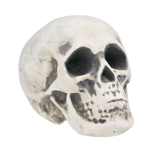 Halloween Foam Skull