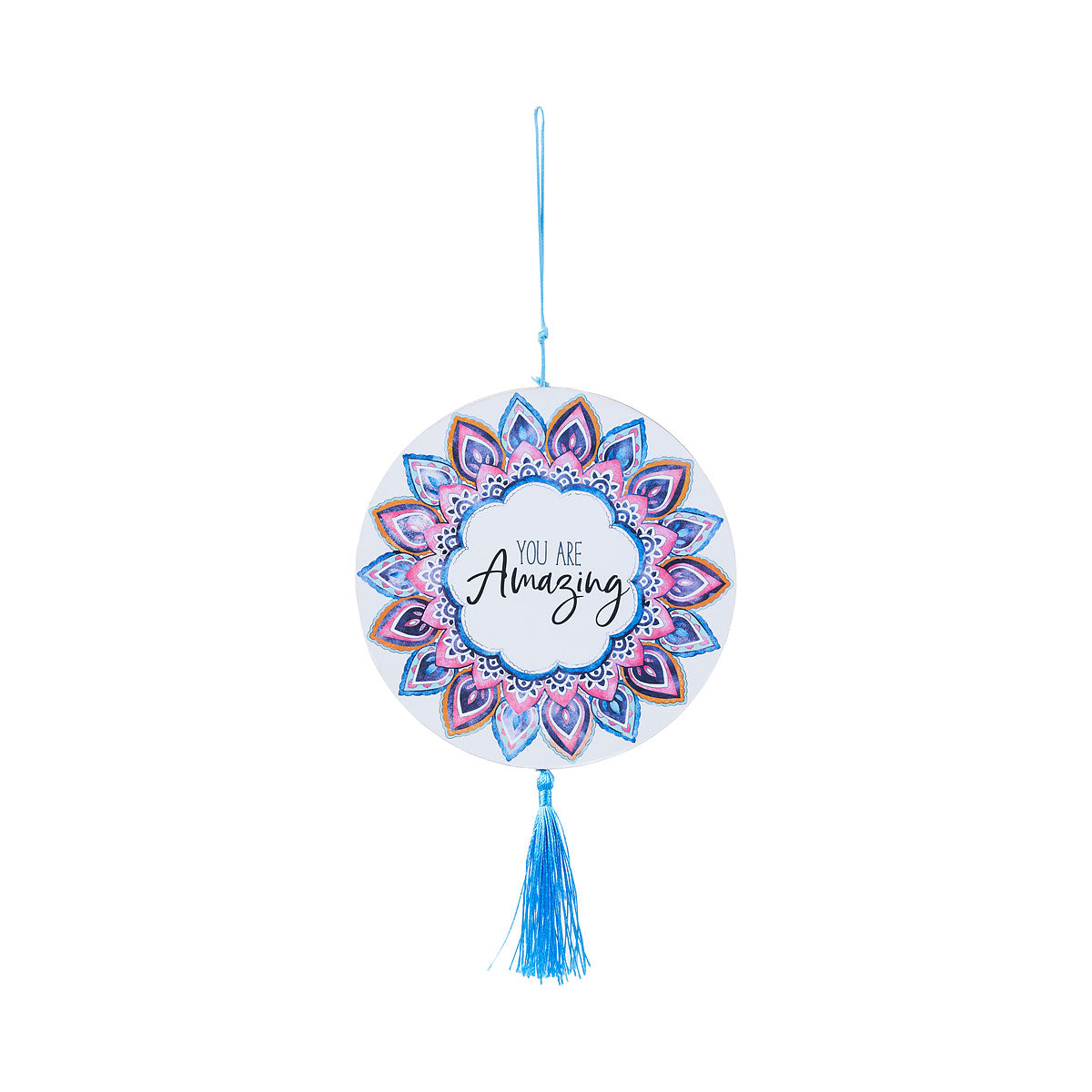 You Are Amazing Tassel Hanging Plaque