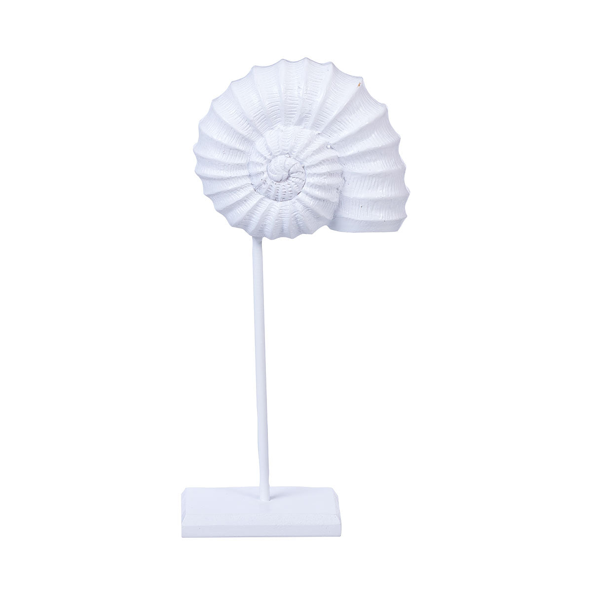 Coast Resin Shell On Stand